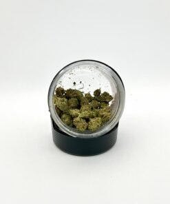 MC Devours Trappy Meal